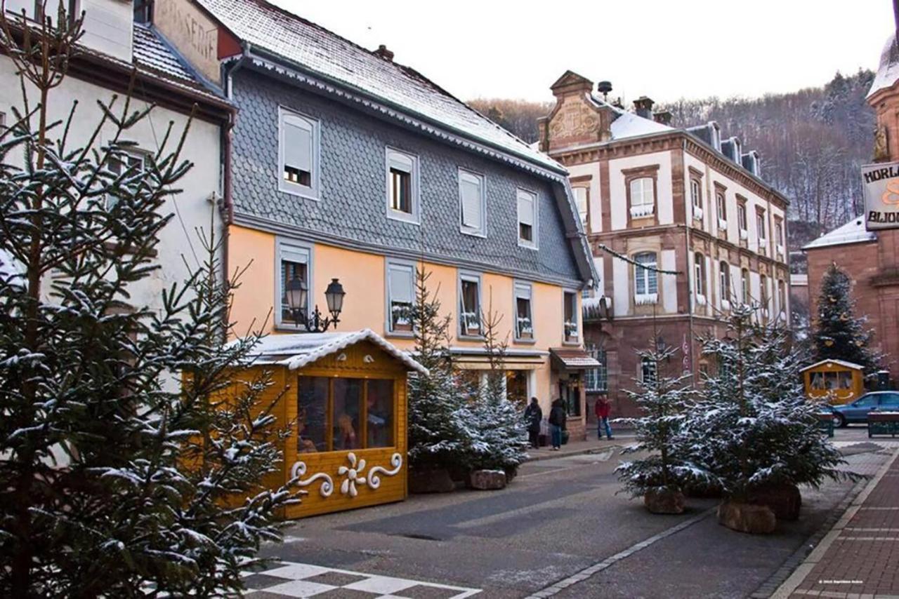 Maison Rurale En Bordure De Foret Schirmeck Εξωτερικό φωτογραφία