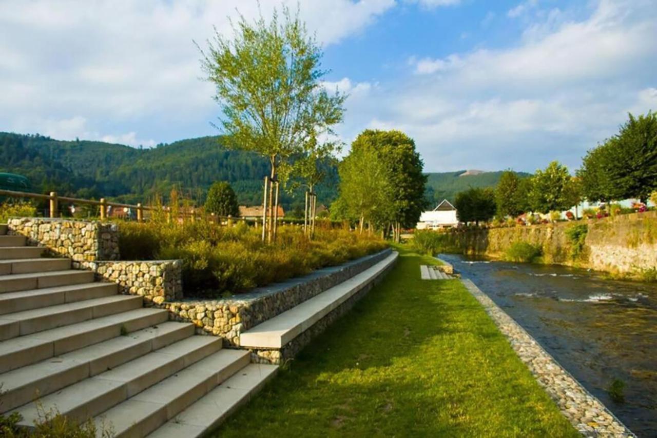 Maison Rurale En Bordure De Foret Schirmeck Εξωτερικό φωτογραφία