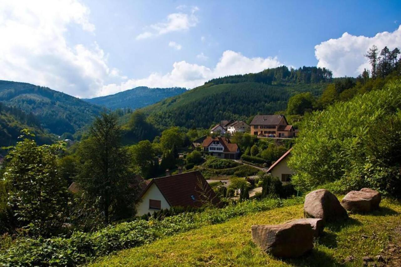 Maison Rurale En Bordure De Foret Schirmeck Εξωτερικό φωτογραφία